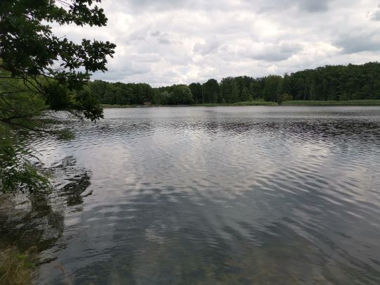 Grabowsee (Oranienburg) angeln