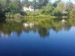 Puschkinteich (Frankfurt/Oder)