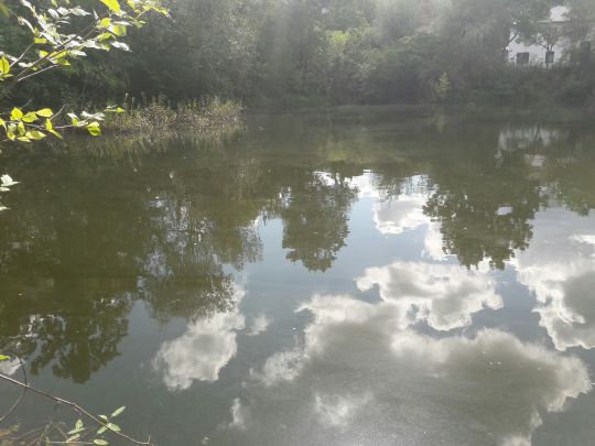 Puschkinteich (Frankfurt/Oder)-1