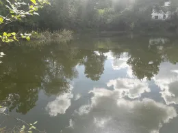 Puschkinteich (Frankfurt/Oder)-1