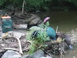 Roter Main (Bayreuth)-1