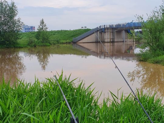 Roter Main (Bayreuth)-2