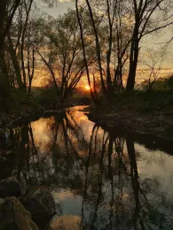 Roter Main (Bayreuth)-4