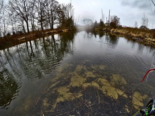 Roter Main (Bayreuth)-3