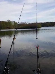 Feldmarksee (Sassenberg)