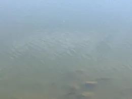 Feldmarksee (Sassenberg)-3