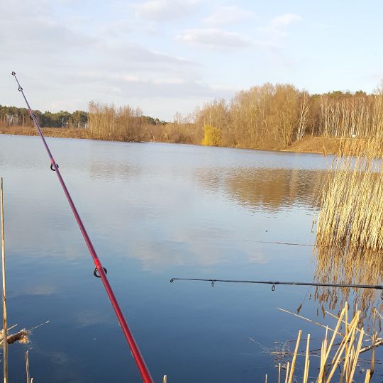 Feldmarksee (Sassenberg) angeln