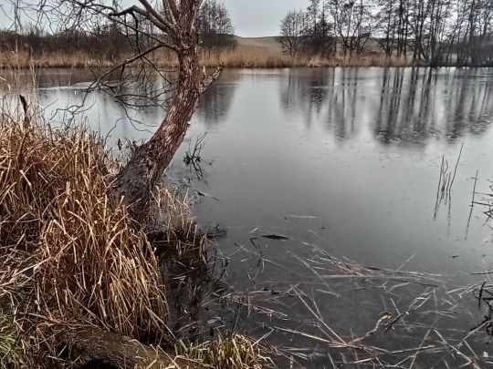 Torfkuhle an der Bahn (Kessin)-4
