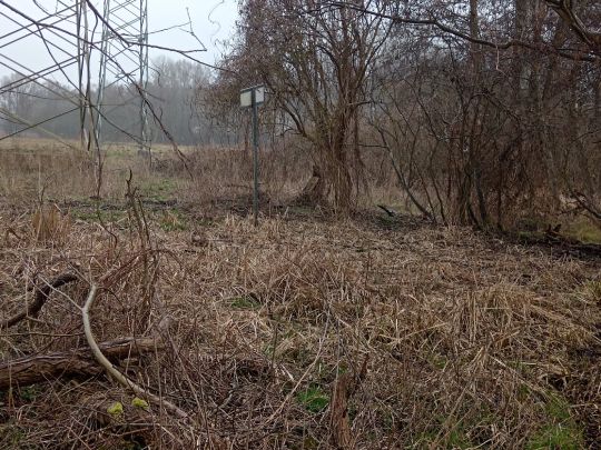 Torfkuhle an der Bahn (Kessin)-1