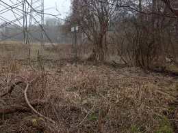 Torfkuhle an der Bahn (Kessin)-1