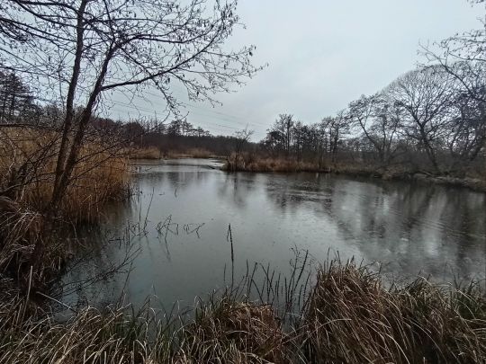Torfkuhle an der Bahn (Kessin)-2