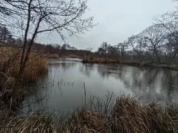 Torfkuhle an der Bahn (Kessin)-2