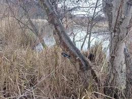 Torfkuhle an der Bahn (Kessin)-3