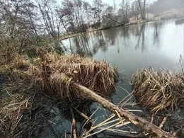 Torfkuhle an der Bahn (Kessin)