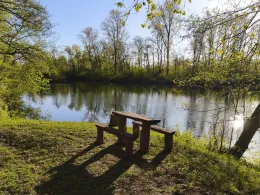 Kögelhaufener Weiher 1-3-2