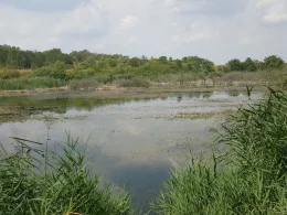 Wiesengewässer (Leipzig)-1