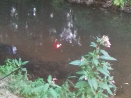 Böhme (Bad Fallingbostel)-1