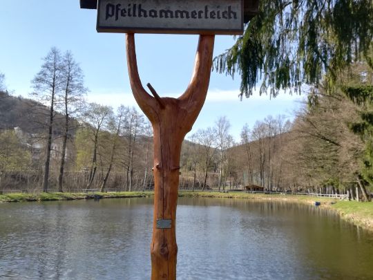 Pfeilhammerteich (Pöhla)-2