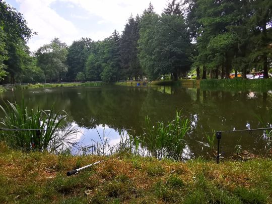 Pfeilhammerteich (Pöhla)-3