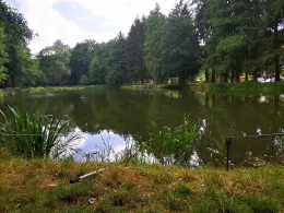 Pfeilhammerteich (Pöhla)-3