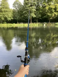 Pfeilhammerteich (Pöhla)-4