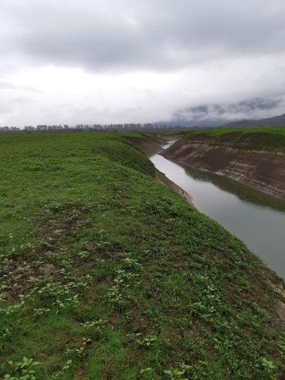 Prološko blato-1