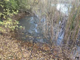 3 Kulke (Westeregeln)-2