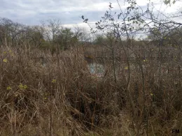 3 Kulke (Westeregeln)-3