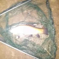 Volkspark Bokel (Papenburg)-1