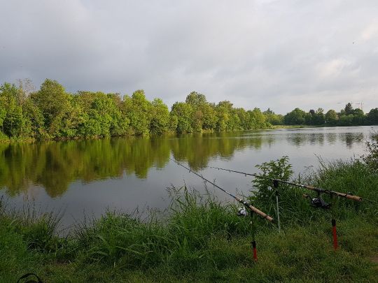Kofenweiher (Hüfingen)-1