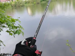 Kofenweiher (Hüfingen)-2