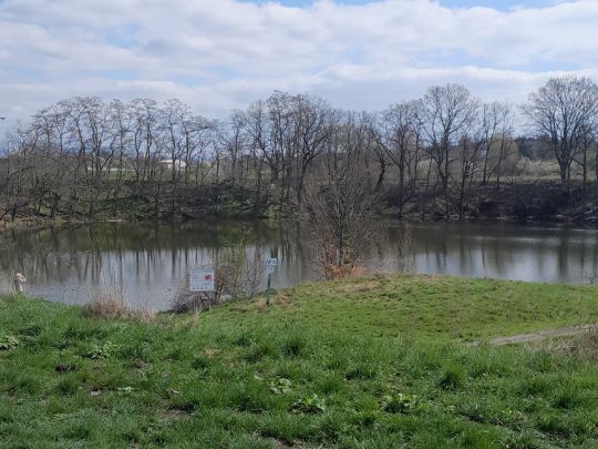 Buchensee (Bad Salzungen)-1