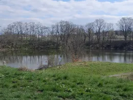 Buchensee (Bad Salzungen)-1