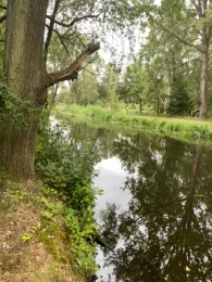 Ziegeleikanal Malliß-1