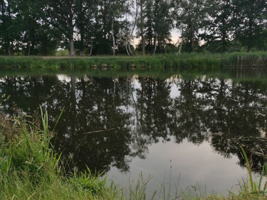 Elbe-Lübeck-Kanal (Büchen)-4