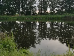 Elbe-Lübeck-Kanal (Büchen)-4