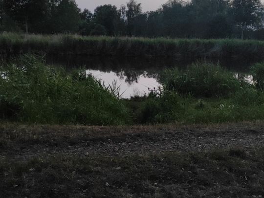 Elbe-Lübeck-Kanal (Büchen)-1