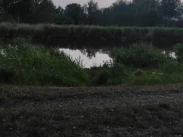 Elbe-Lübeck-Kanal (Büchen)-1