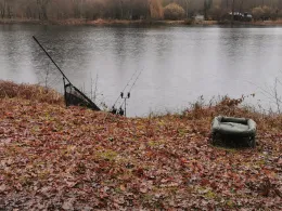 Nachtweidensee (Nauheim)