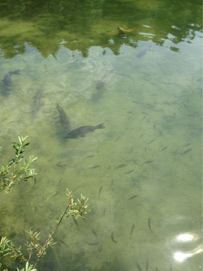Hechtsee (Kiefersfelden)