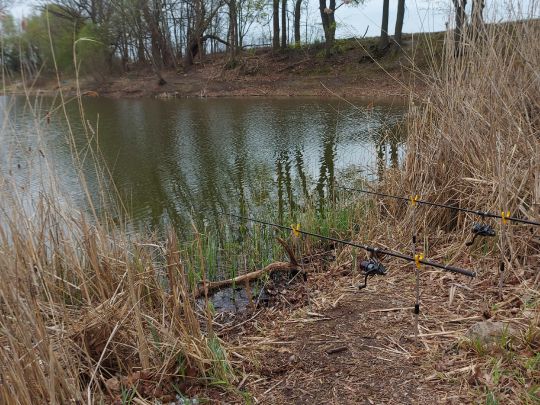 Tonteich Brusendorf-4