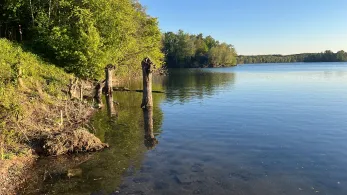Lohheider See-2