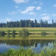 Eggersdorfer Teiche-4