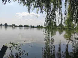 Mika Alas Veliko Jezero