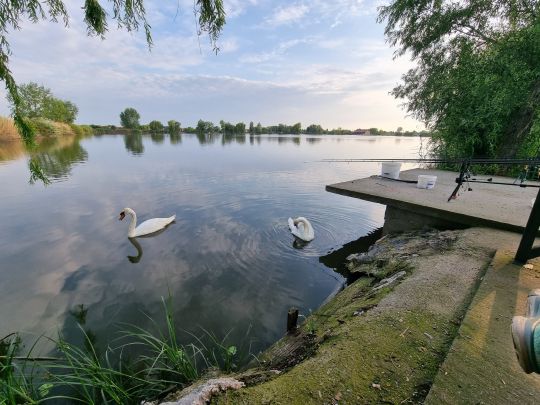 Mika Alas Veliko Jezero-3