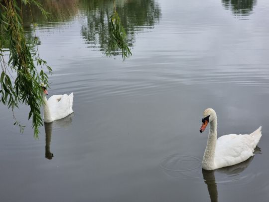 Mika Alas Veliko Jezero-1