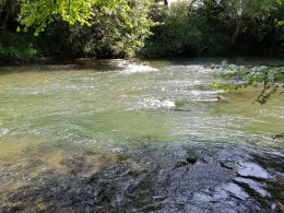 Jagst (Bad Friedrichshall)-0