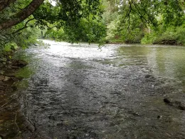 Jagst (Bad Friedrichshall)-1