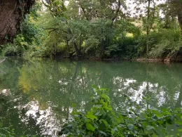 Jagst (Bad Friedrichshall)-2