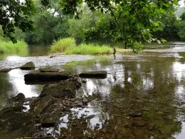 Jagst (Bad Friedrichshall)